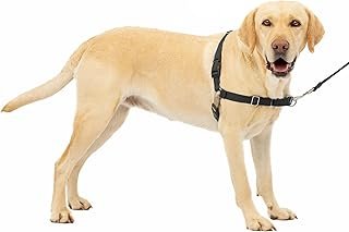 PetSafe Easy Walk Dog Harness, No Pull Dog Harness, Black/Silver, Large (EWH-HC-L-BLK)