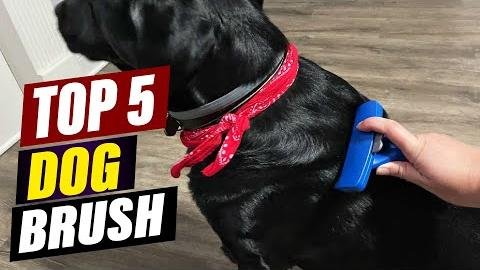 Top 7 Dog Brushes for Labrador Retrievers’ Lustrous Coats