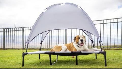 Top Portable Dog Beds for Outdoor Adventures