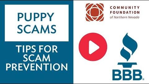 Scottsdale Mother Warns of Puppy Scam Pitfalls and Redemption