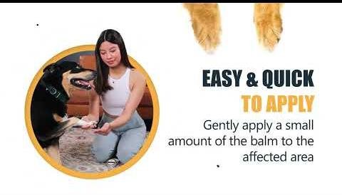 Best Dog Paw Balms: Protection, Moisturization, Healing for Your Pet