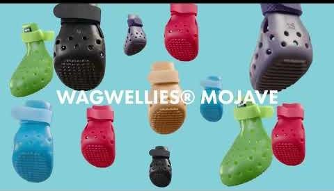 Protect Your Dog’s Paws This Summer with Innovative Solutions