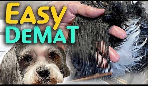 Top Dematting Brushes for Dogs: Keep Your Pet’s Coat Healthy