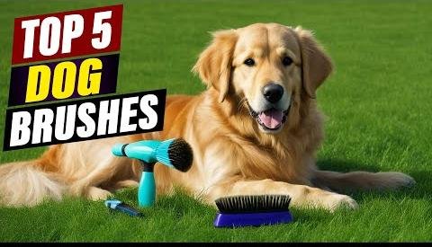 Top Brushes for Golden Retrievers’ Double Coat Maintenance