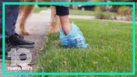 Dog Waste Bags Left on Trails: A Growing Environmental Concern