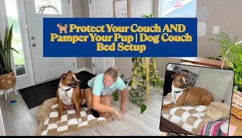 Luxurious Dog Couch Beds for Ultimate Comfort and Support