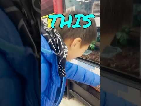 Exploring Affordable Pet Supply Options Saves Australian Pet Owners