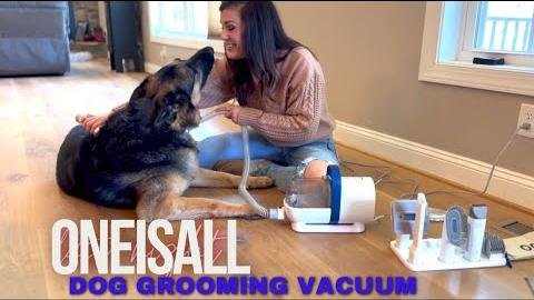 Innovative Dog Grooming Kits with Vacuums Simplify Pet Care