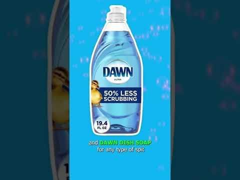 Expert-Approved Dog Shampoos: Choosing the Best for Your Pet