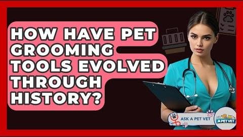 Evolution of Pet Grooming Tools Enhances Australian Pet Care