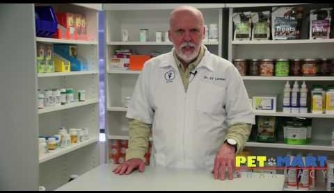 Top Online Pet Pharmacies Revolutionizing Pet Care in 2025
