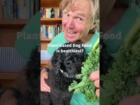 Transitioning Pets to Vegan Diets: Environmental & Health Benefits