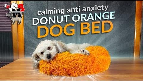 Calming Dog Beds: Soothing Solution for Anxious Pets