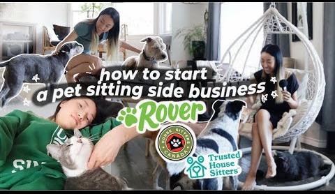 Guide to Launching a Successful Pet-Sitting Business