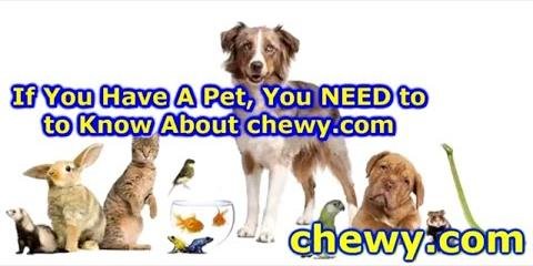 Chewy.com Leads Online Retail Customer Satisfaction, Beats Amazon