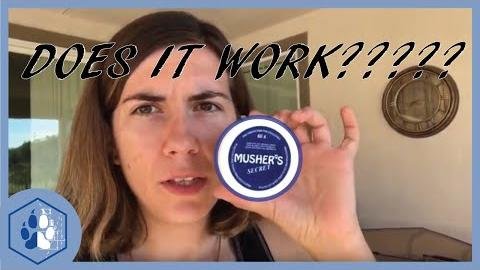 Protect Your Dog’s Paw Health in Summer Heat