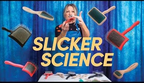 Choosing the Right Dog Grooming Brush for Your Pet